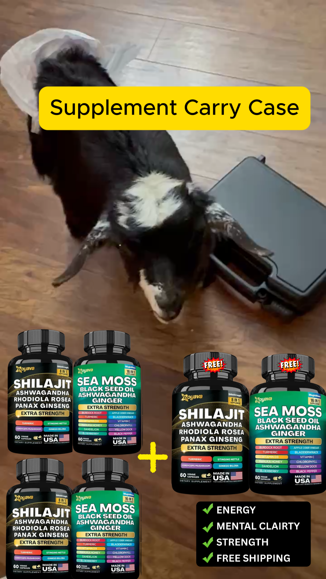 Supplement Carry Case